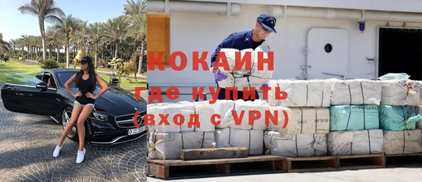 стафф Алексин