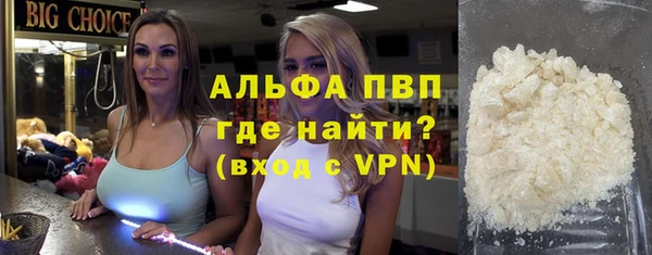 стафф Алексин