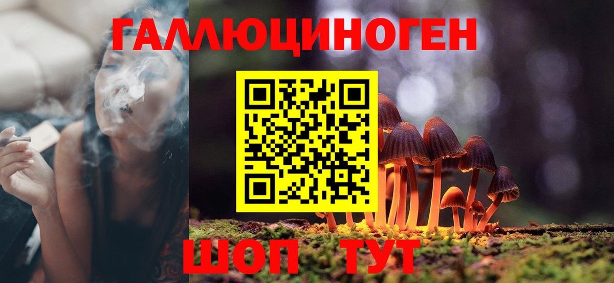 Псилоцибиновые грибы MAGIC MUSHROOMS Махачкала