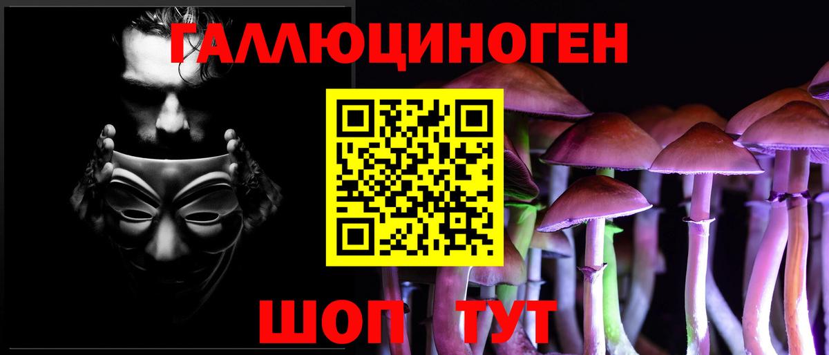 Галлюциногенные грибы Psilocybine cubensis  Псилоцибиновые грибы прущие грибы  Вход с VPN  как найти   Махачкала 