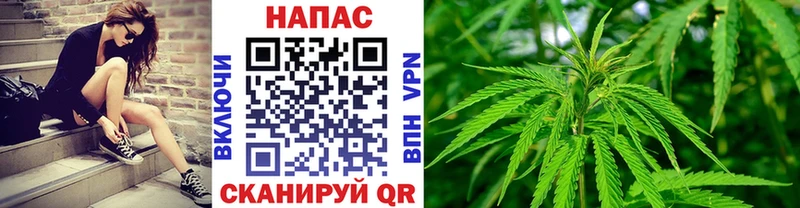 как найти наркотики  Махачкала  Шишки марихуана VHQ 