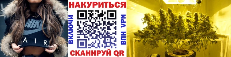 Каннабис конопля Махачкала