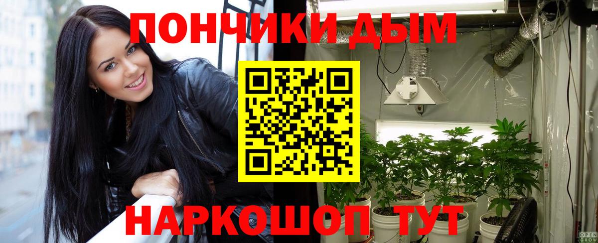 Конопля план  Бошки марихуана сатива  Бошки Шишки LSD WEED  Махачкала  Вход с VPN 
